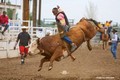 Bill Pickett Rodeo 2008